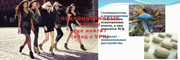 МДПВ Алексеевка