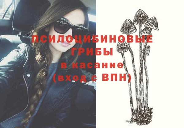 винт Алексин