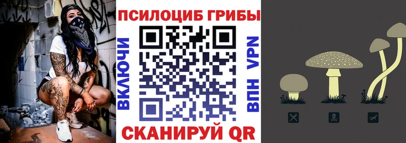 Купить где  Прохладный  Галлюциногенные грибы Psilocybe 